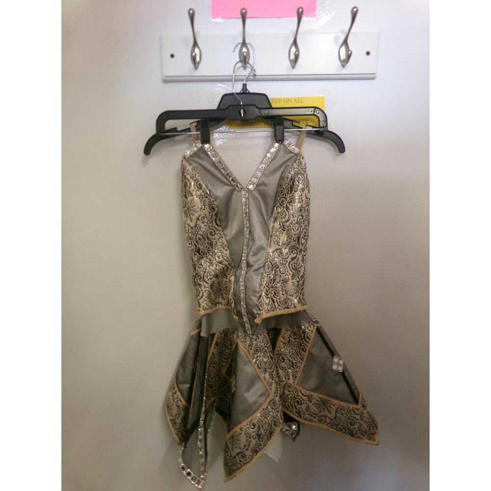 Dance Costume LC Silver Unknown Ballet Pointe YAGP Corset Dress Embroidery